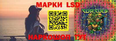 индика Краснодар