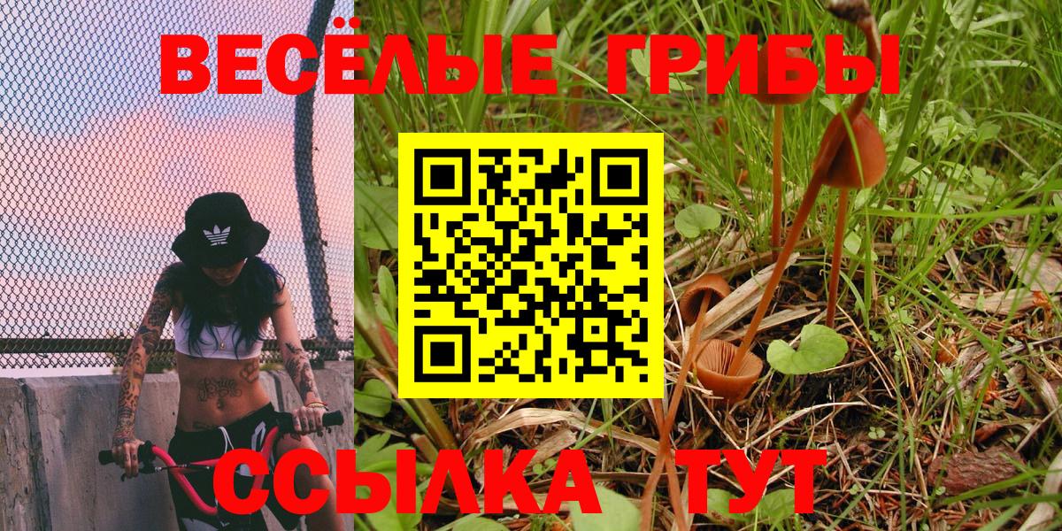 Галлюциногенные грибы ЛСД Зима