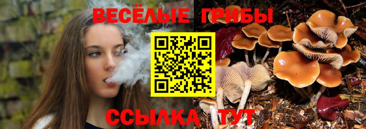 Галлюциногенные грибы GOLDEN TEACHER  Псилоцибиновые грибы Psilocybe  Вход с VPN  Зима 